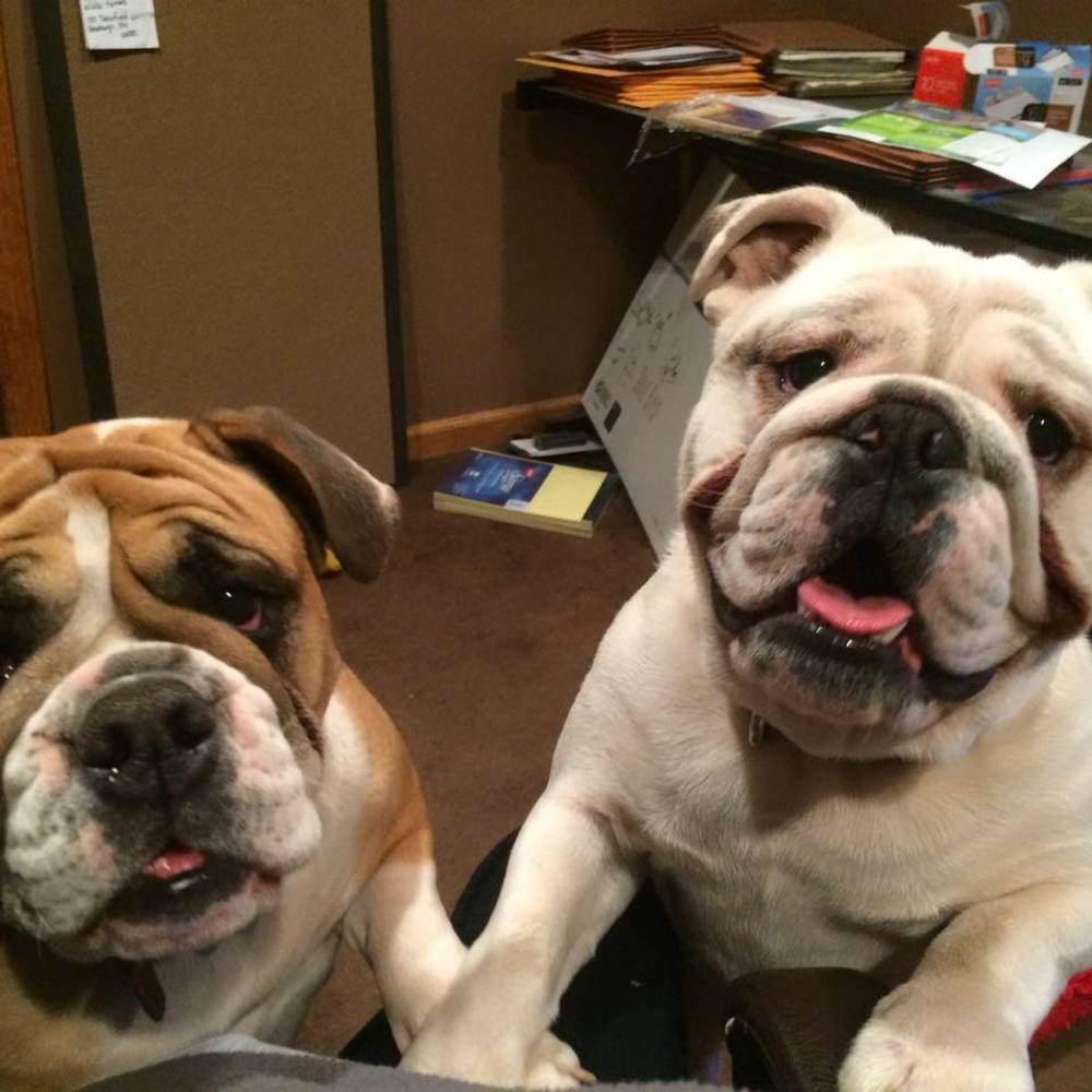 Meet your Posher, Gail